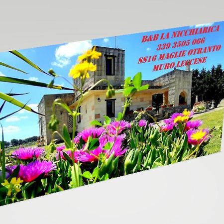 B&B La Nicchiarica Muro Leccese Eksteriør bilde